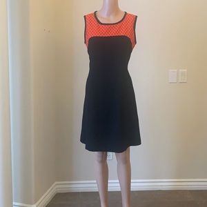 Professional looking dress